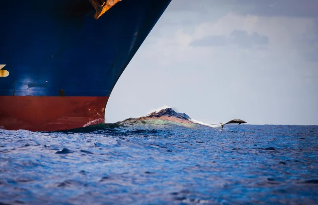 Vantagens do transporte aquaviário de cargas na logística